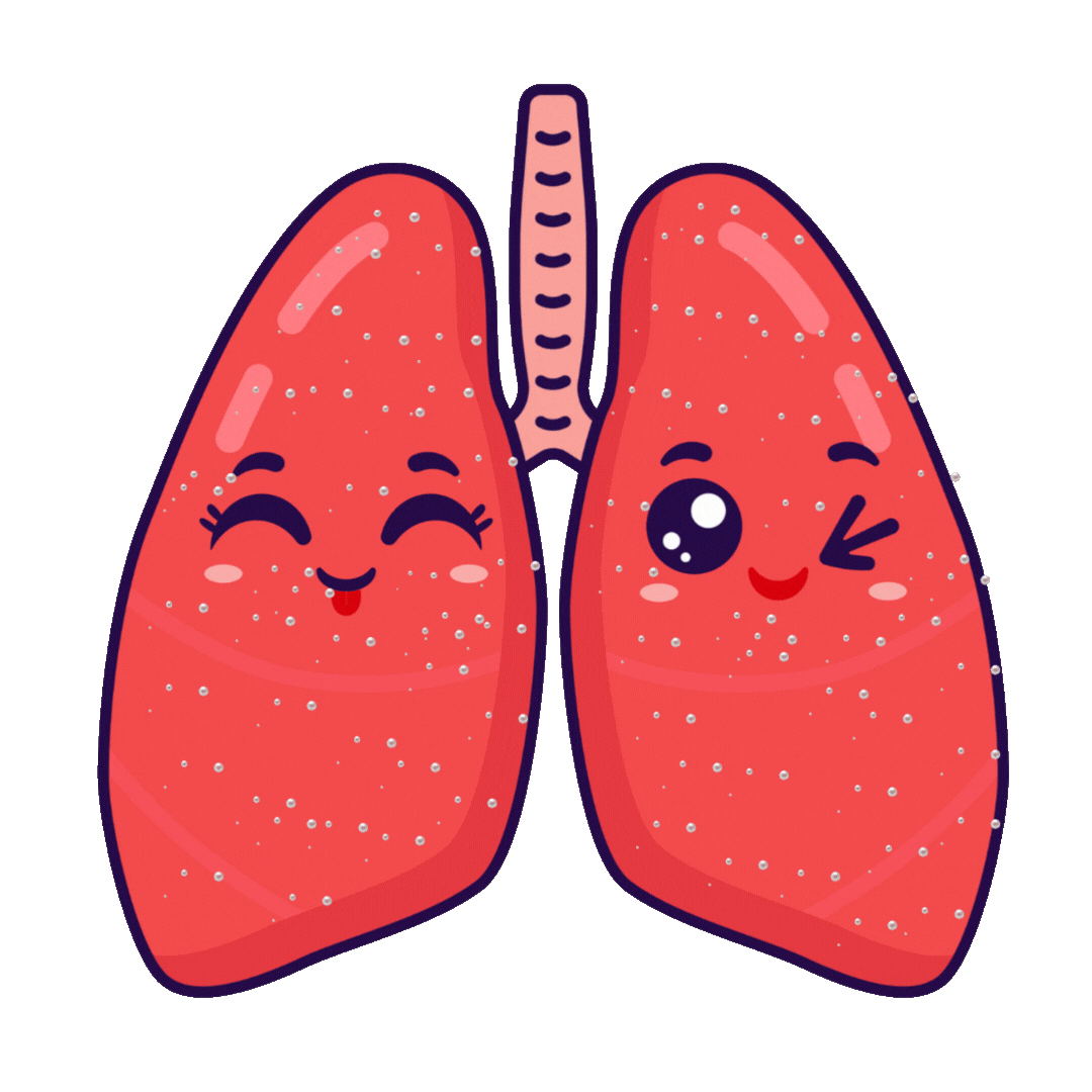 Donate Buddies Organ and Tissue Donation