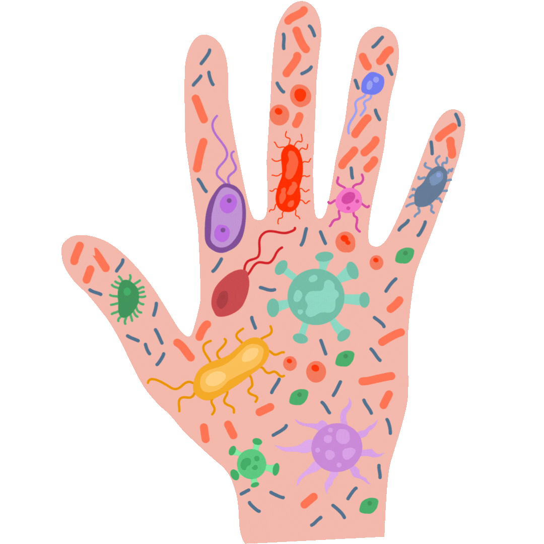 Donate Buddies Organ and Tissue Donation