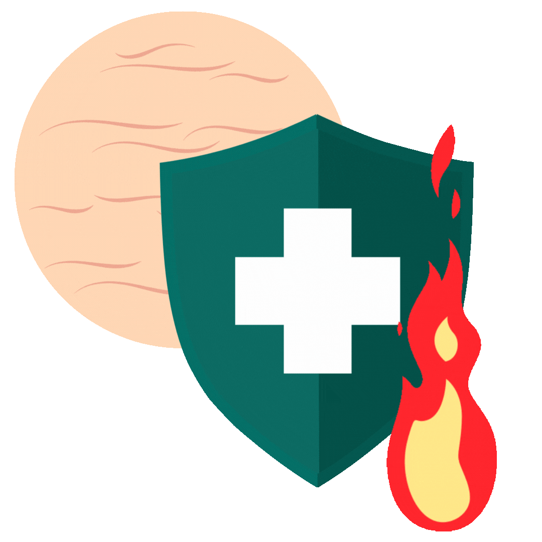 Donate Buddies Organ and Tissue Donation