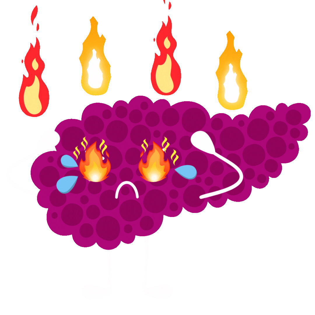 Donate Buddies Organ and Tissue Donation