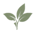 ChatGPT Image May 17, 2026, 01_46_54 PM_edited.png