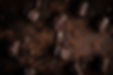 chocolat de noel- chocolats de noel- chocolat de noël vente en ligne- boite chocolat noel- coffret chocolat noel- chocolat pour noel