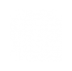 QR diesel and gas engines.png