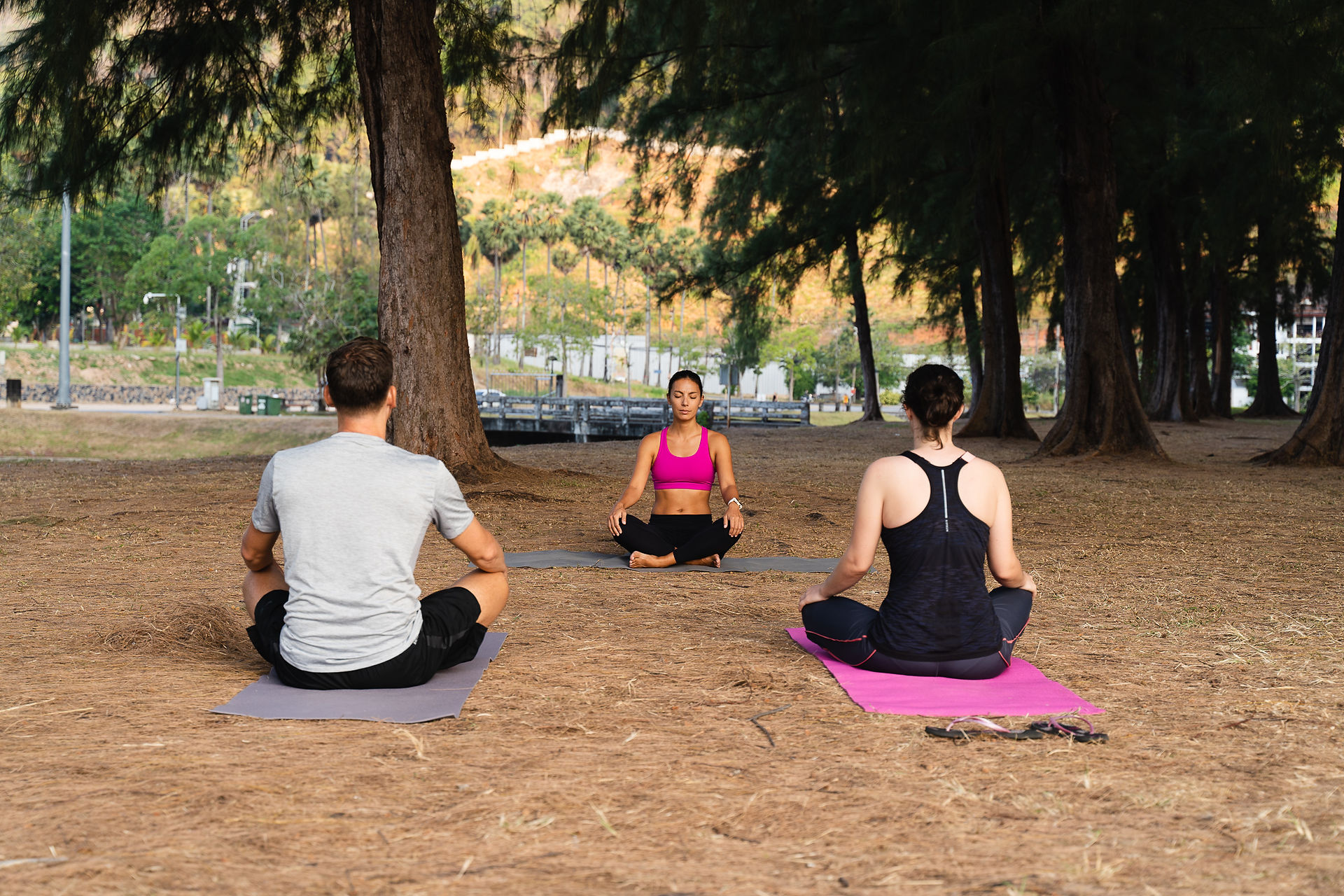 Yoga and Physical Therapy Denver CO