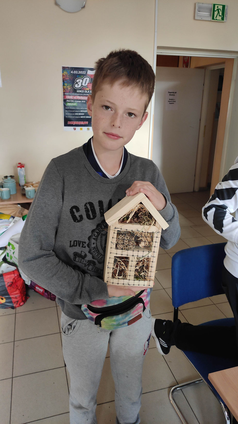 Miniatura: Domki dla zapylaczy