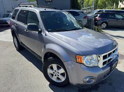2008 Ford Escape Limited