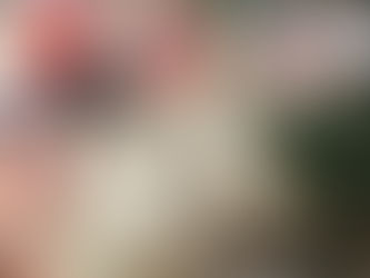 Devo ou não olhar para trás?