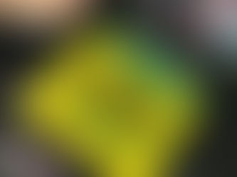 VAI EMBORA GRANDE MONSTRO VERDE!