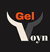gel voyn logo
