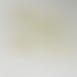 MTE amplia prazo para atualização sindical