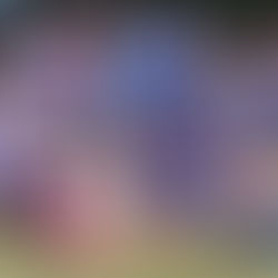 Mirassol: Torneio de Mini Campo tem novo Campeão