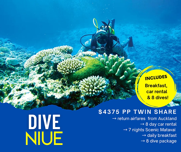 Dive Master.png
