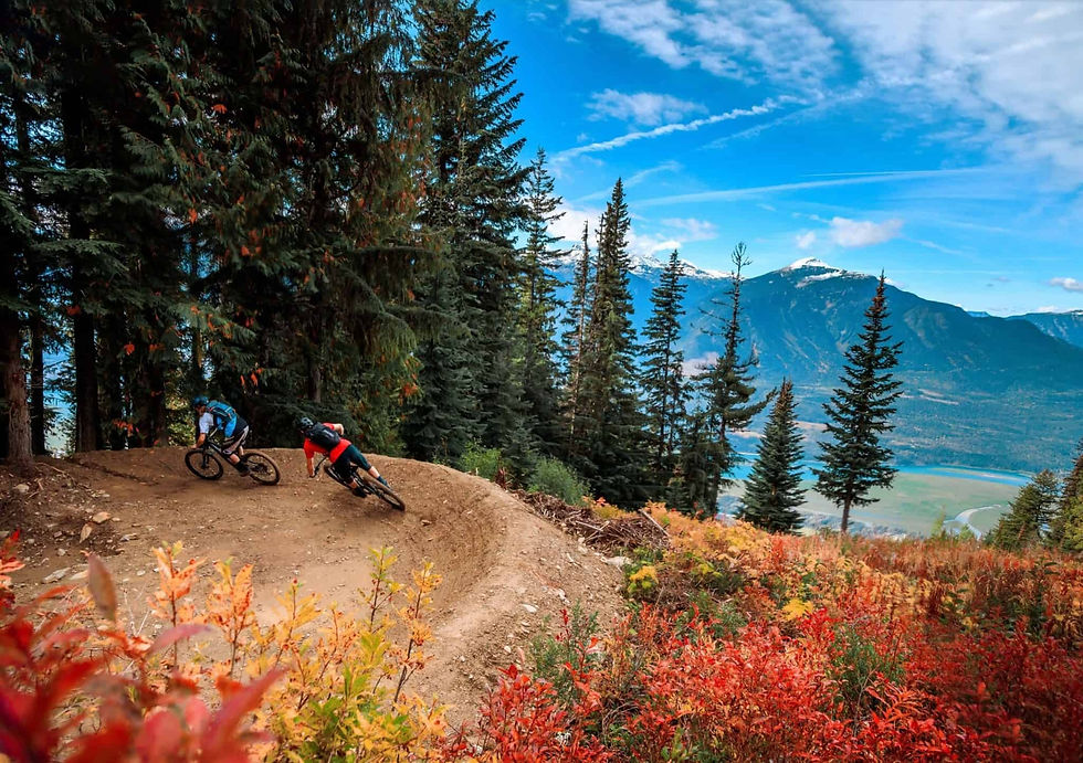 Revelstoke_edited.jpg