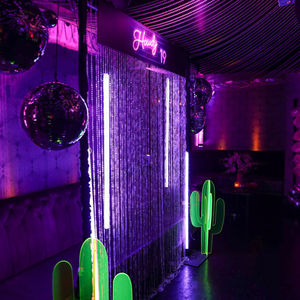 Celebrity 19th Birthday Party