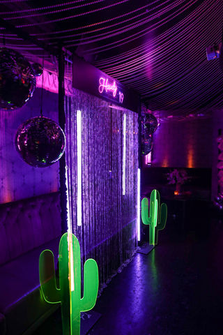 Celebrity 19th Birthday Party
