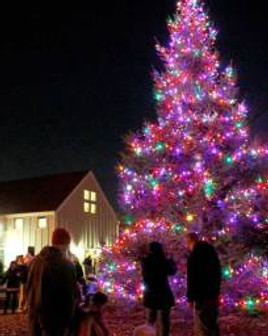 treelighting.jpeg
