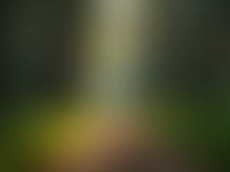 Why Spiritual Healing Can Transform Your Life: Exploring Spiritual Recovery Methods