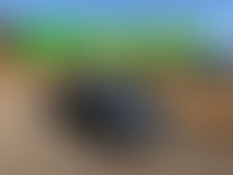 ホンダフィット買取ご成約!武蔵村山市のお客様【出張くるま買取館】西多摩 ・東京の車買取・出張専門店