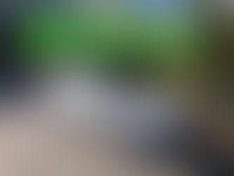 トルネオSIR-T買取ご成約!相模原市【出張くるま買取館】 スポーツ車の査定|出張買取専門店|マニュアル車