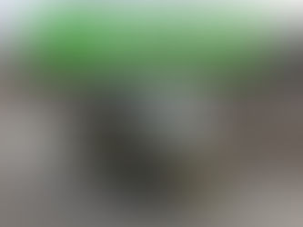 ウェイク買取ご成約!小平市のお客様【出張くるま買取館】ダイハツ|軽自動車の査定|多摩|東京|出張査定|売却