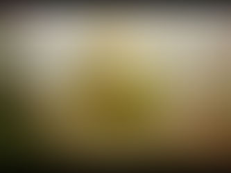 Registration Limp Bizkit - Gold Cobra Crack Windows 64 Free