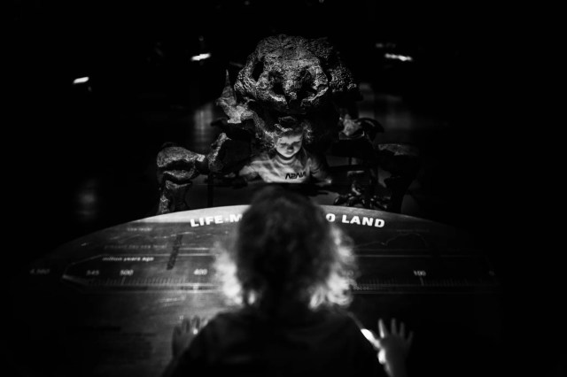 10. Live Photos: Capturing Interactions in Real Time