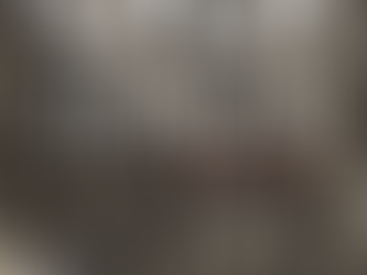 纵笔写意——崔振宽中国画欧洲巡展于德国哈根开幕