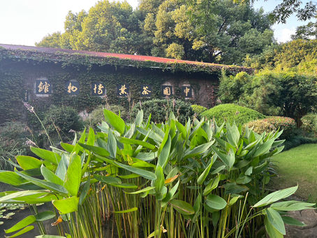 拜访中国茶叶博物馆，共赏中国茶文化之美