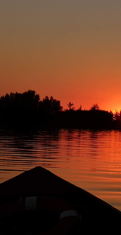 Nocturne ©Ô Marais by ISNOR (1).png