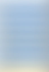 貴金属相場(国内）	2026/3/24