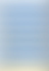 貴金属相場(国内）	2026/1/30