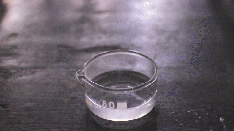 reac2.gif