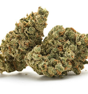 sample_weed_nug_1.jpg