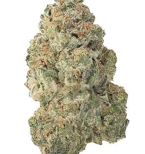 212-gorilla-glue_700 (1)_edited.jpg