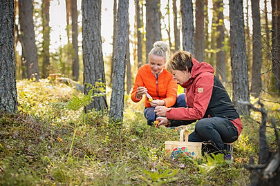 Best Lake Nature Adventures Picking herb