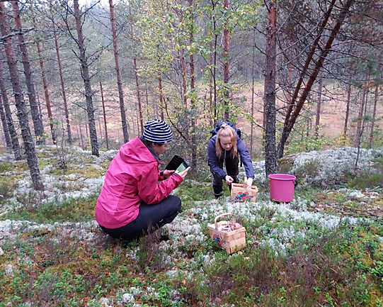 picking mushrooms_pieni.jpg