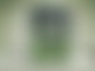 The Evolution of Build Automation Tools: From scripting to Gradle and beyond