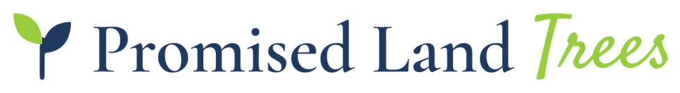 PLT_oneline_primary_transparent.png