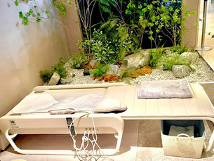 《マスターV4・ホワイト（数量限定）新発売のご案内》