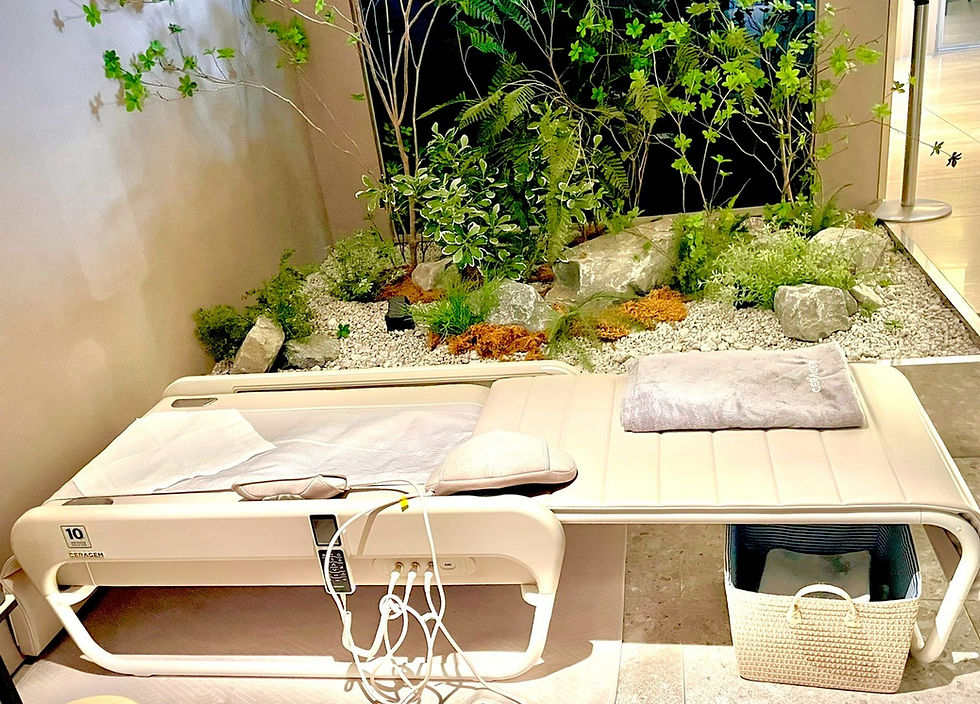 《マスターV4・ホワイト（数量限定）新発売のご案内》