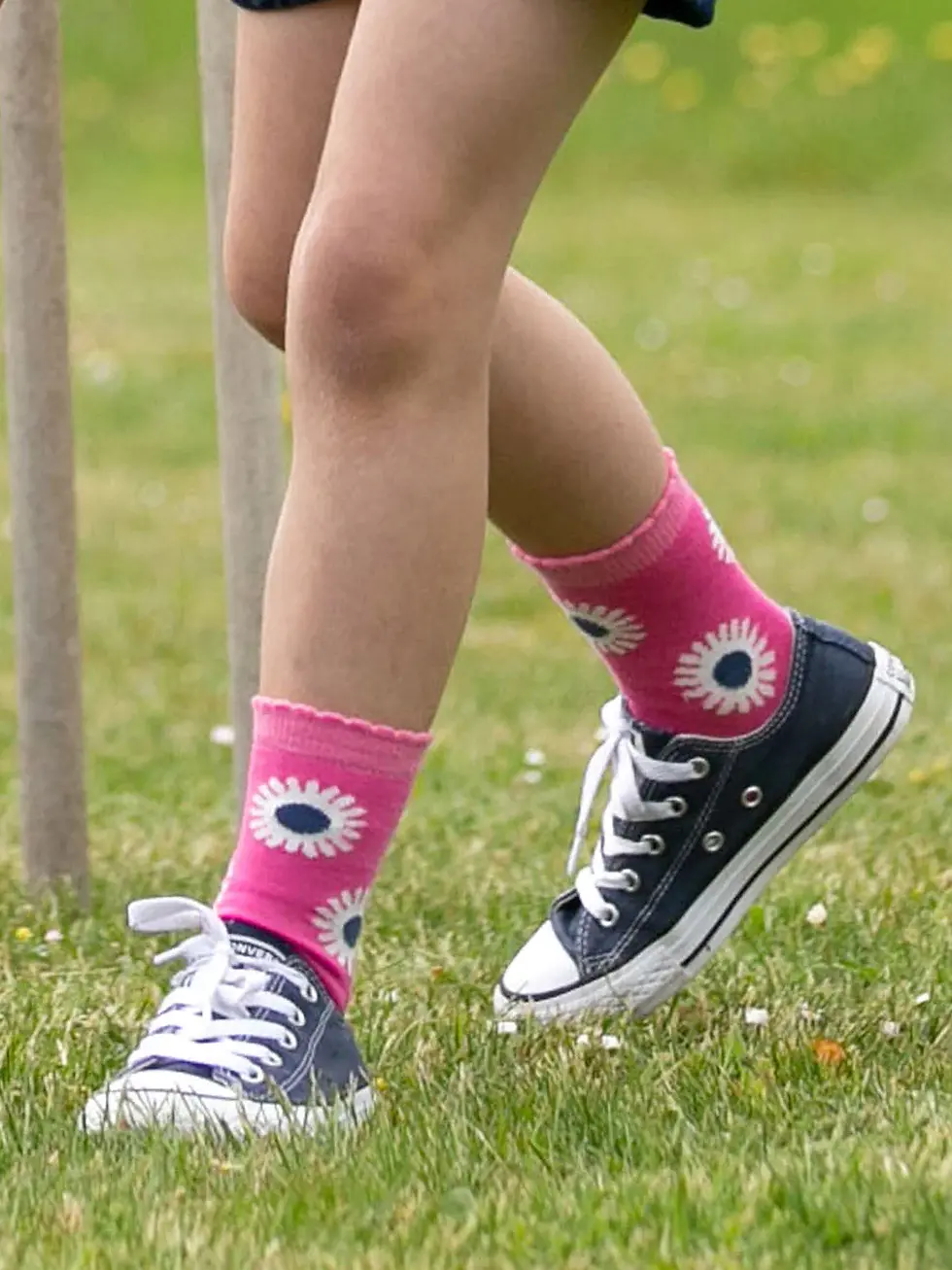 Miniaturbild: 3er-Pack Socken PUPPY PALS von KITE aus Bio-Baumwollmix