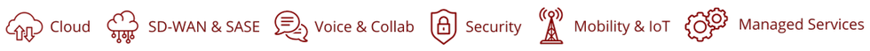 Voice, data, internet, and cloud icons.
