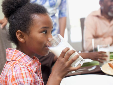 Why are many people lactose intolerant?