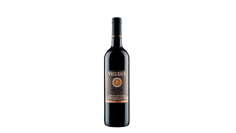 Vega Enix Monteneo 2012