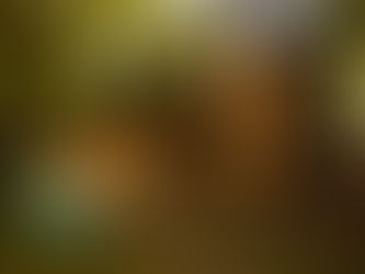 Budget-Friendly Family Vacations: Why Home Swapping Wins for Parents and Kids