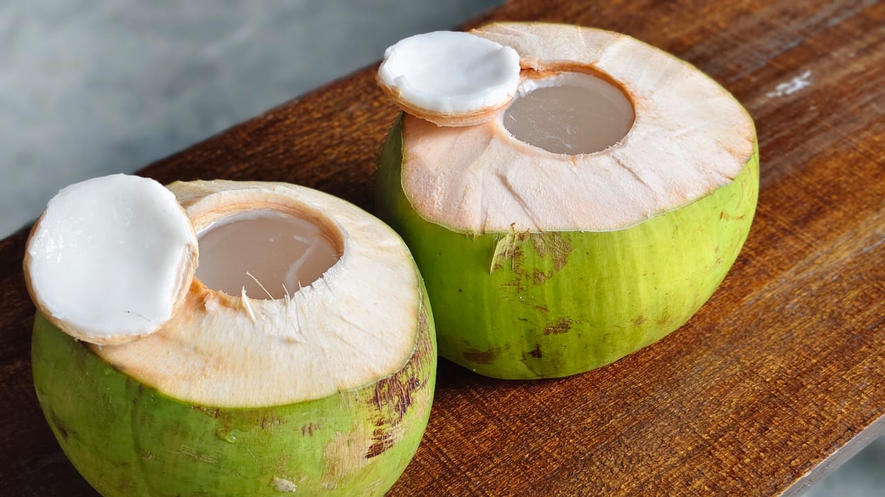 Fresh coconuts used in Potai Farmstay village experiences in Negeri Sembilan