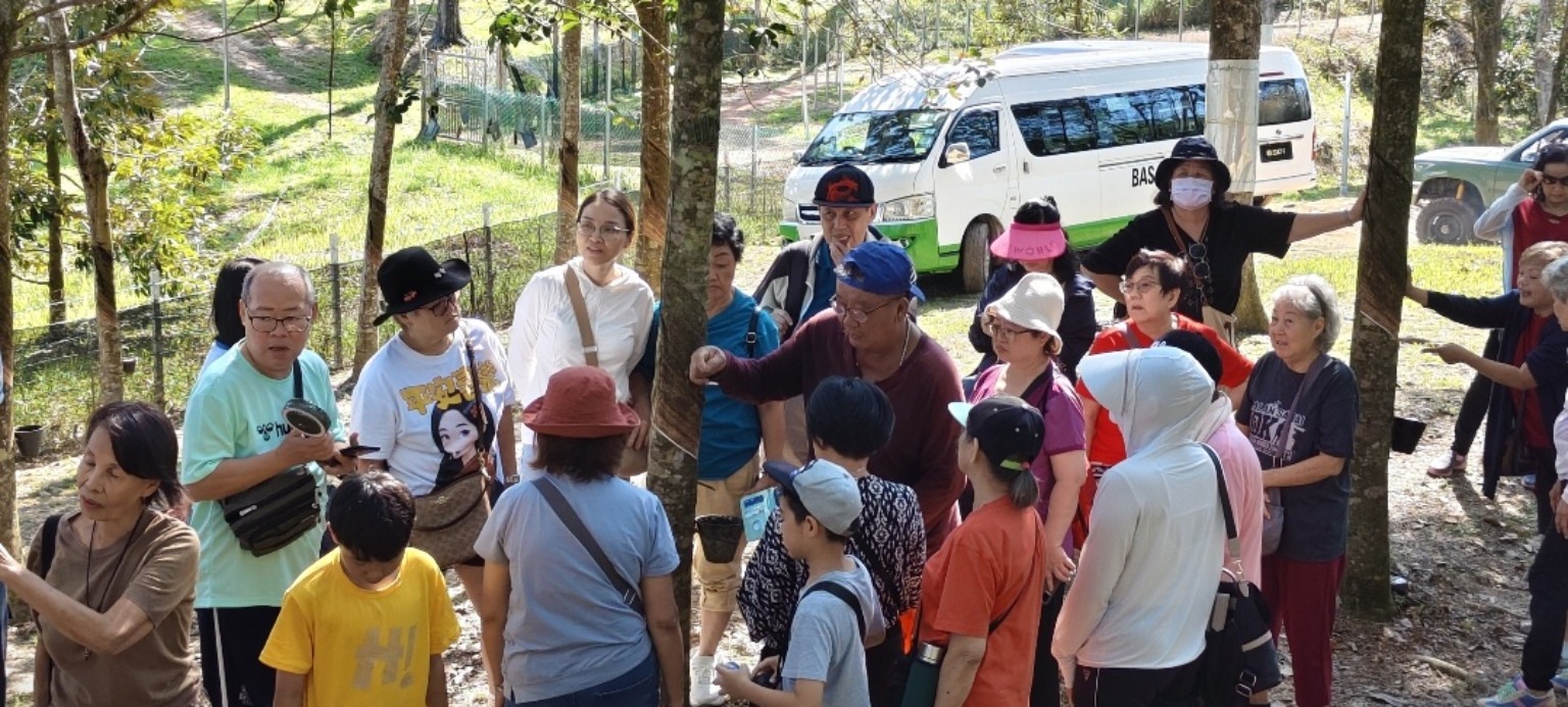 Family weekend visitors learning rubber tapping at Potai Farmstay