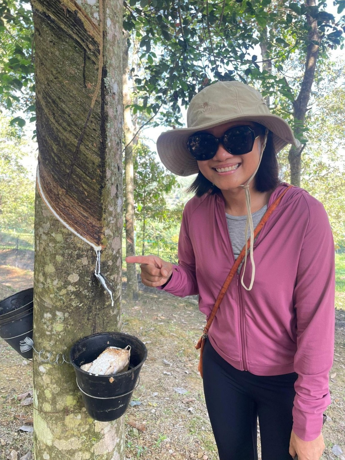 Visitor learning rubber tapping at Potai Farmstay FELDA Bukit Rokan