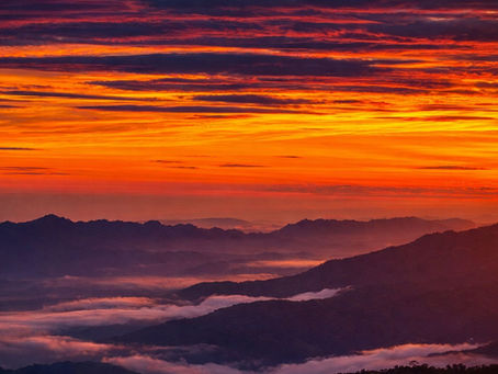 Your Ultimate Guide to Dalhousie High-End Stays