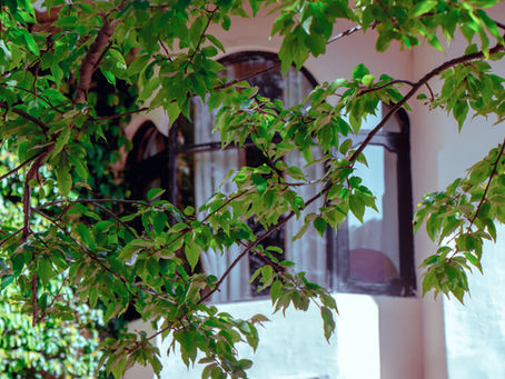 Heritage vibes